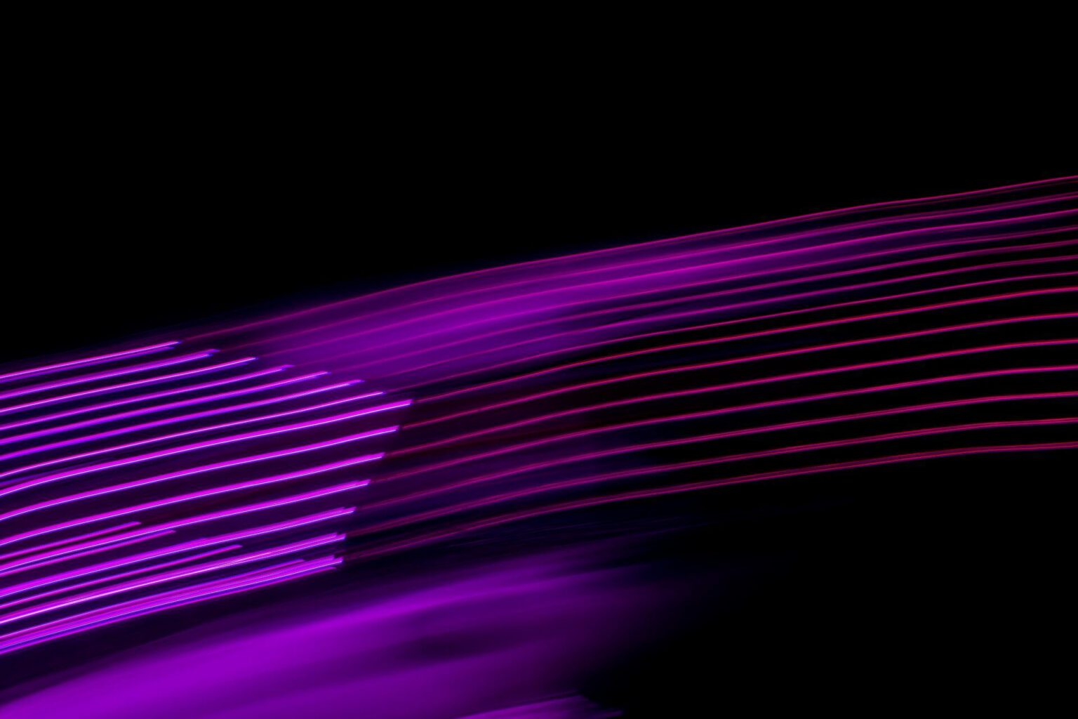 Dynamic pink and purple light trails flowing against black background - accounting services for digital media and technology creative businesses